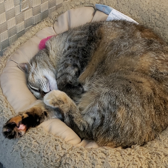 Hi, I'm Ruthie!!! :) - Picture 5 of 5